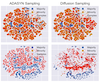 Imb-FinDiff: Conditional Diffusion Models for Class Imbalance Synthesis of Financial Tabular Data